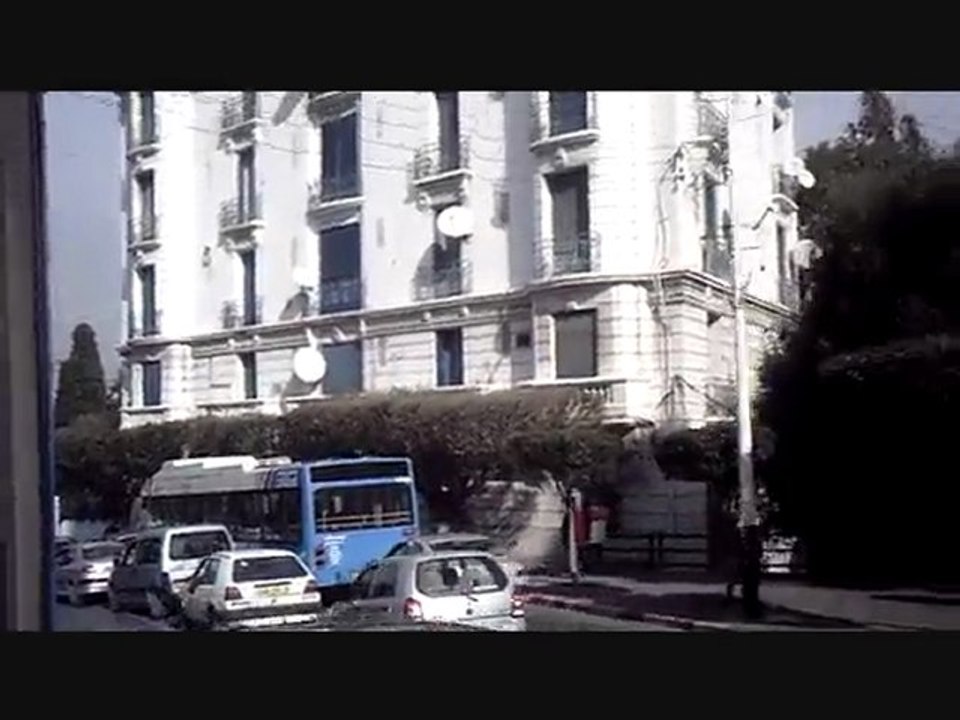 Alger 2010