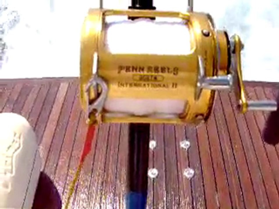 PECHE SPORTIVE EN MEDITERRANNEE HPIM2062