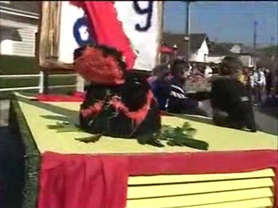 extrait vidéo Carnaval 2009 de Villeneuve sur Yonne