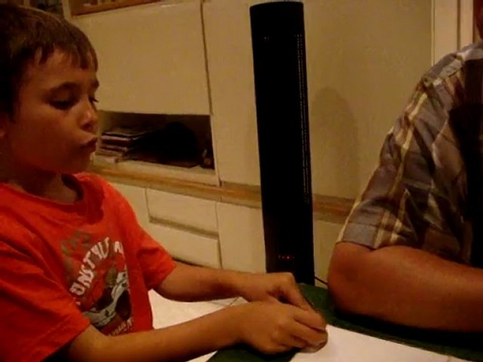 Les dinosaures selon un enfant de 5 ans (Roumanie)