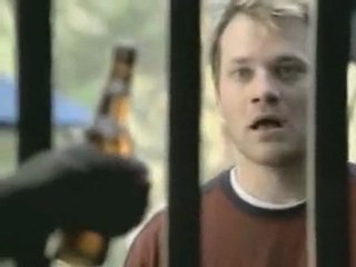 Malin comme un singe