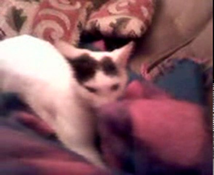 GYPSIE TETE SON PLAID