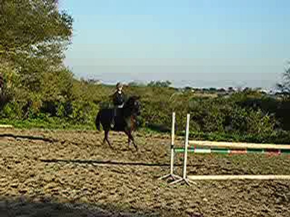 Furia (Uri du Longbost x Seminote) sur un oxer