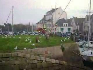 le croisic