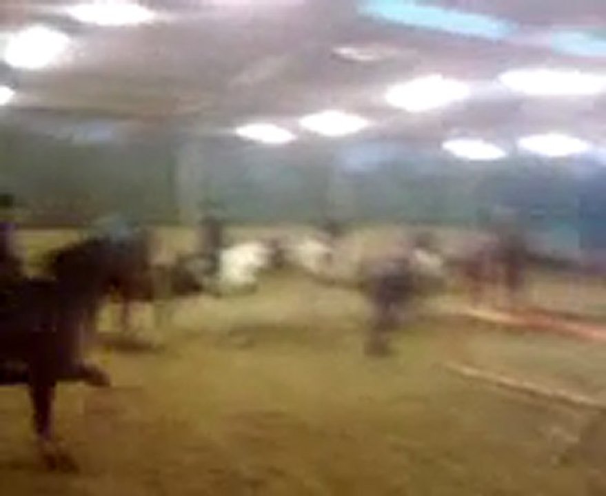 Moi//Prado//Oxer 90cm