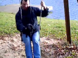 ERNEST ET LA BALANCOIRE