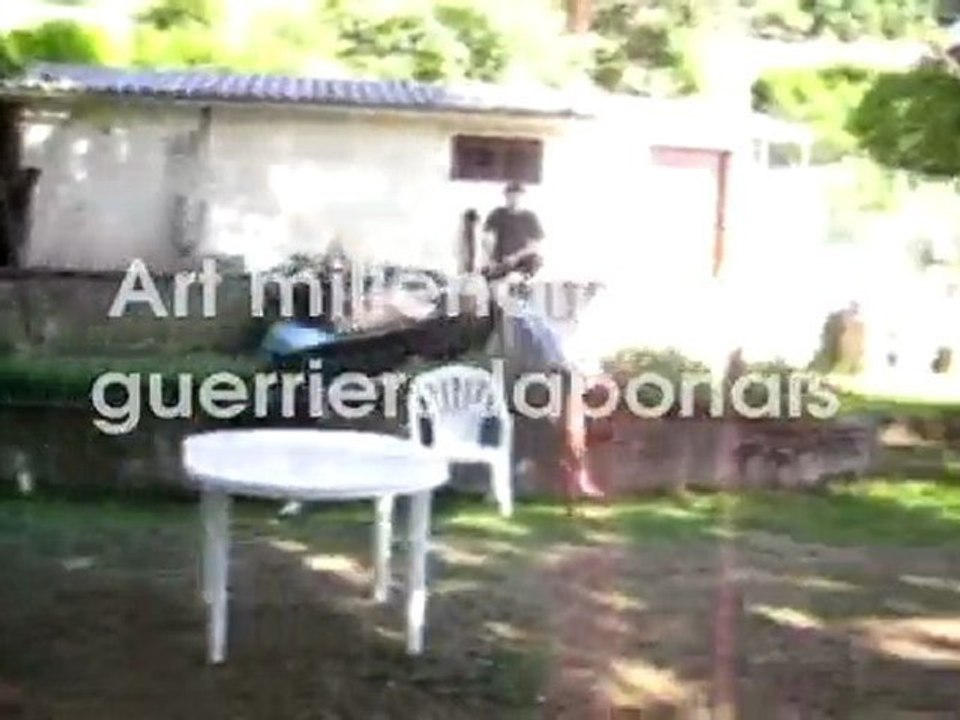 Bujinkan Dojo Grenoble