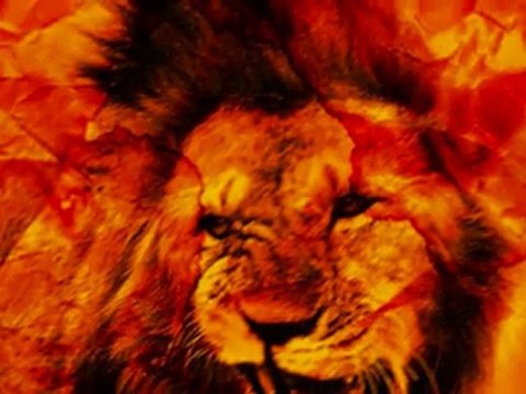 Ethiopian (TPLF) govenment hate on the Amhara ethnic group