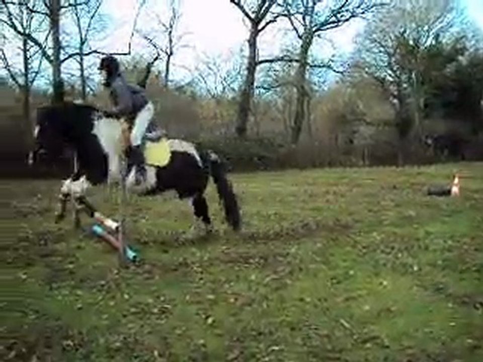 Saut d`obstacle Celia et Pauline