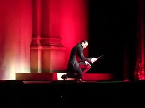 Mozart l'Opéra Rock - 23/12/2009 15h, L'assasymphonie.