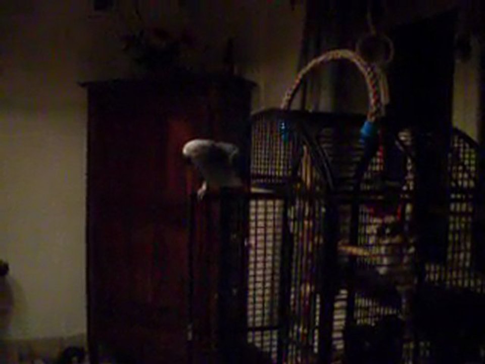 ce soir 001je discute je veut pas dormir