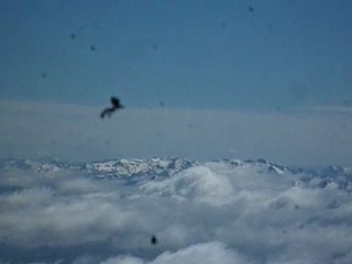 volcan chili 4