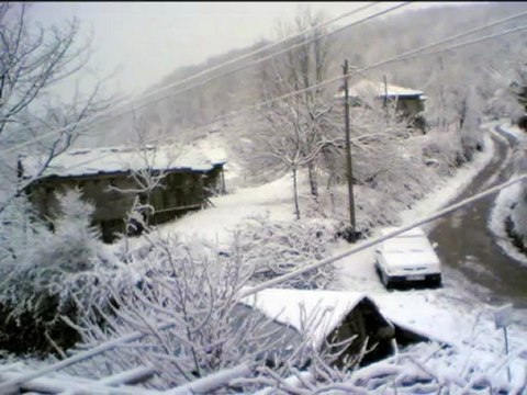 Ayancık davul zurna 57