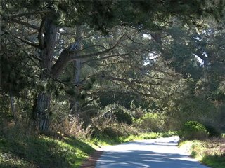 barış manço-nick the chopper