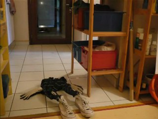 Un réveil à Dormir Debout