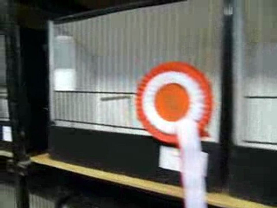 Exposition ornithologique à Tournai