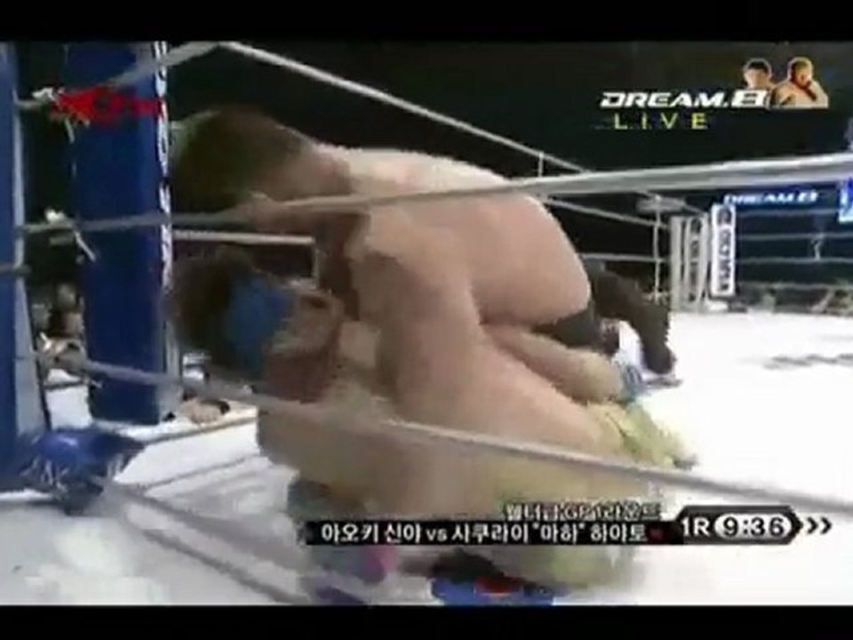 MMA - The Knockouts of 2009 - Vol.2