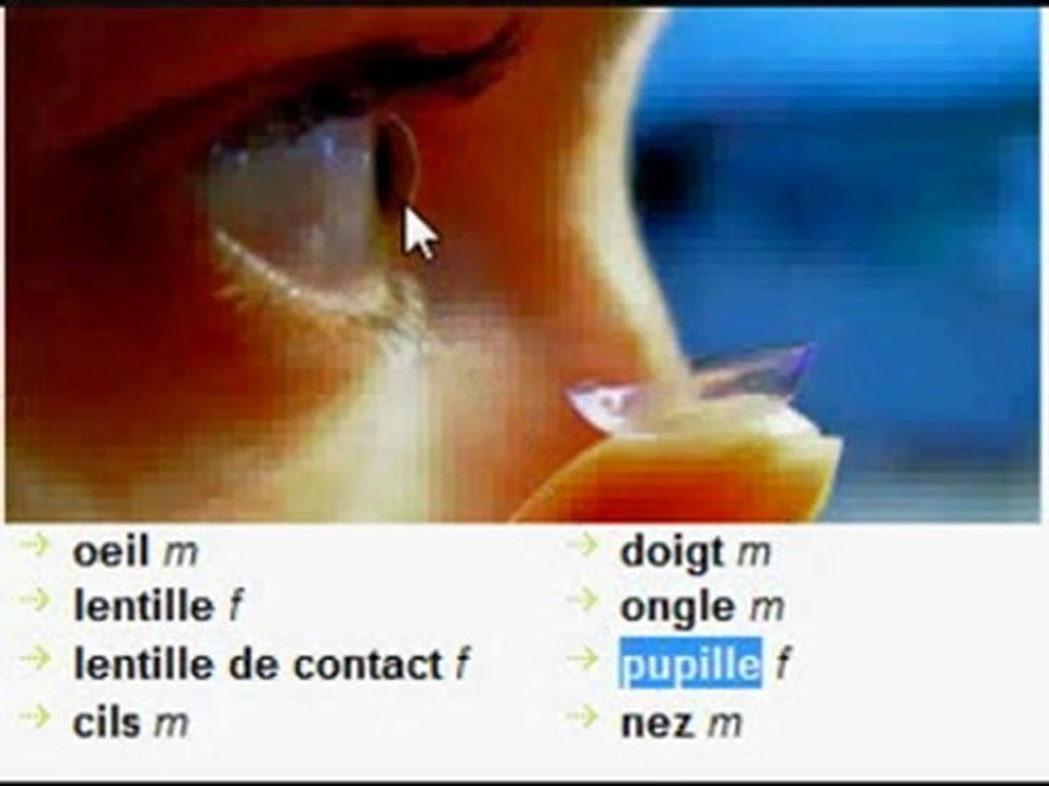 Learn French