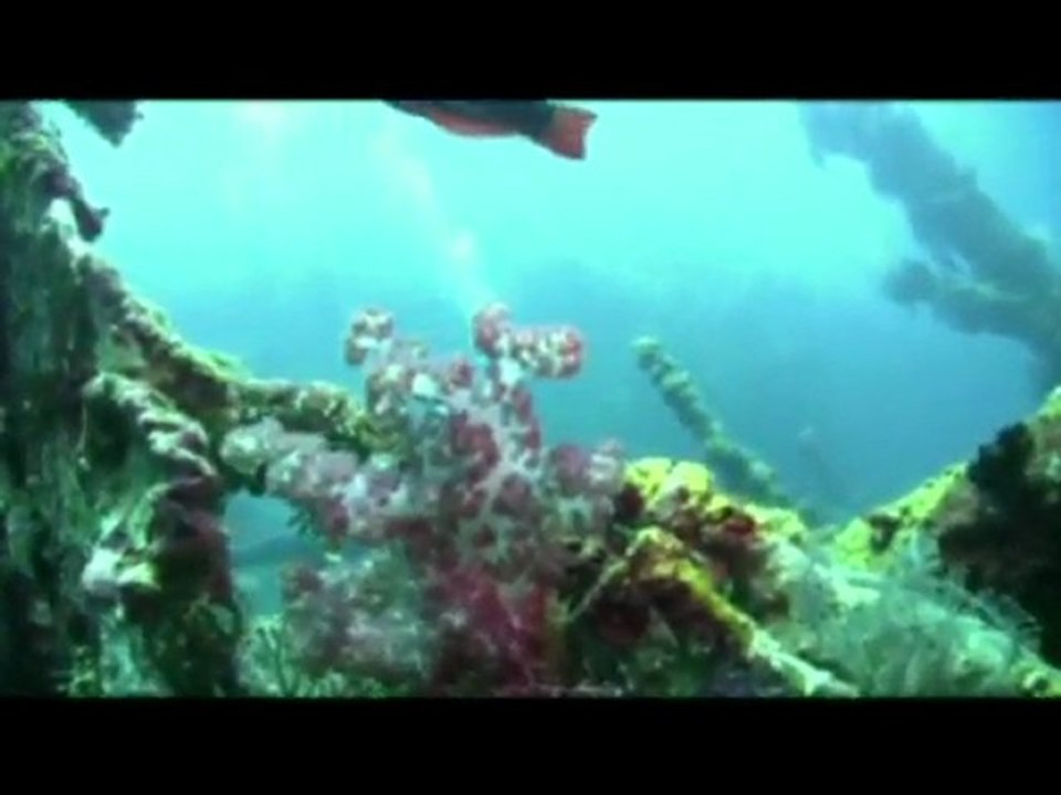 Plongée Bali Tulamben épave  USAT Liberty Wreck