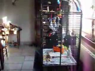 AIE les oreilles j'appelle fannyyyyyyyy