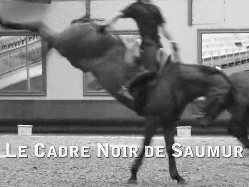 Saumur, le cadre noir ou vert ?