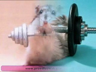 Jacek Darabasz - Gin Iro No Michi