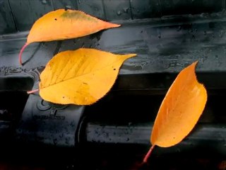 Musiques d'automne. Concerto Aranjuez