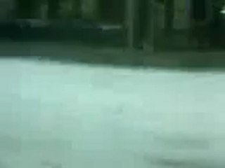 Vidéo 0101
