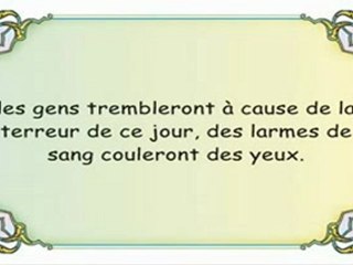 Bonne Annee et qu'avez vous fait en 2009
