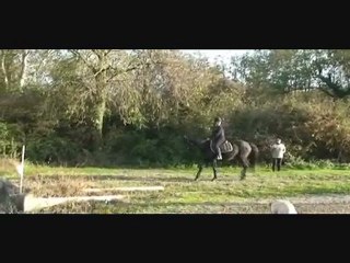 Cross octobre poney club du Findez