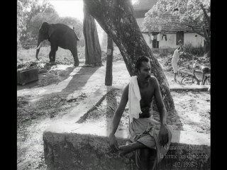 L'odeur de l'inde