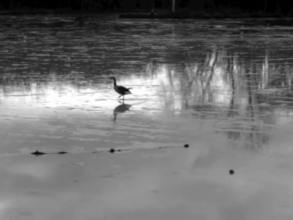 Chateau de Rambouillet - Hiver 2009-2010