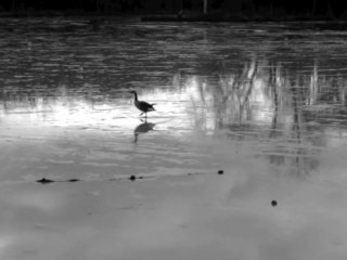 Chateau de Rambouillet - Hiver 2009-2010