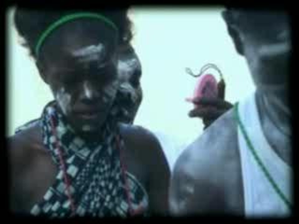 Lidaw- The Seeds