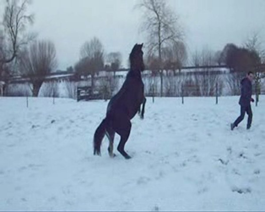 neige201209