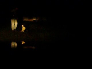 Nity, 11 mois en obé