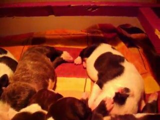 Les bébés à 8 jours