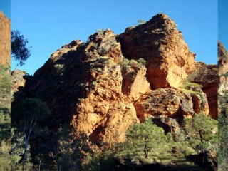 Bungle Bungles - The Kimberley