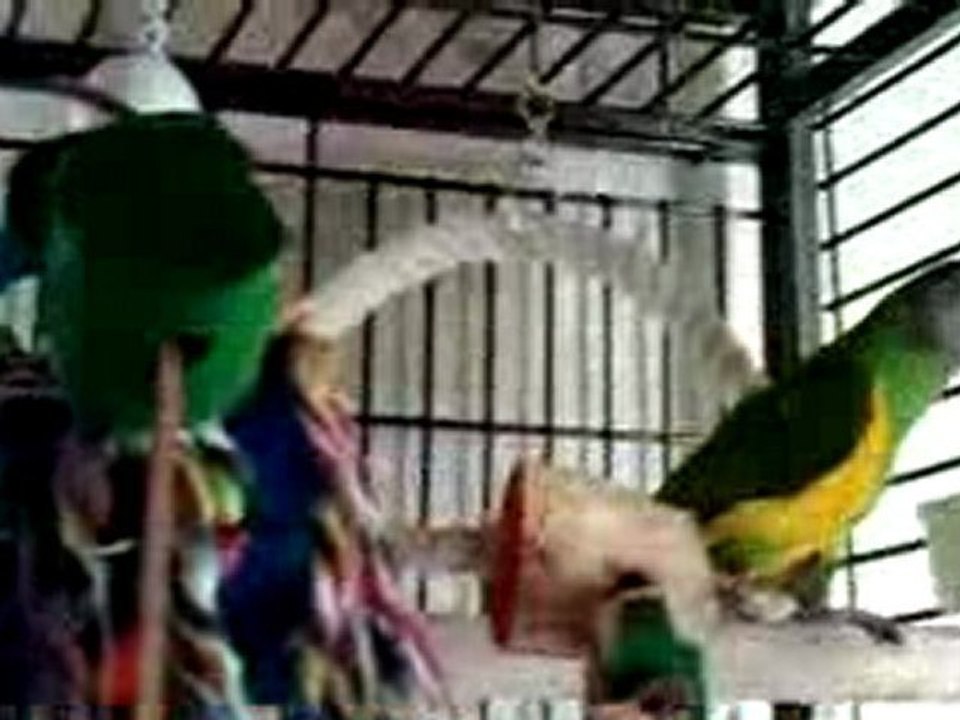 PICT0002