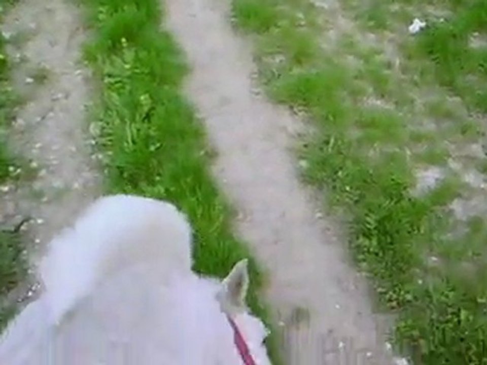 Gros dadouu <3