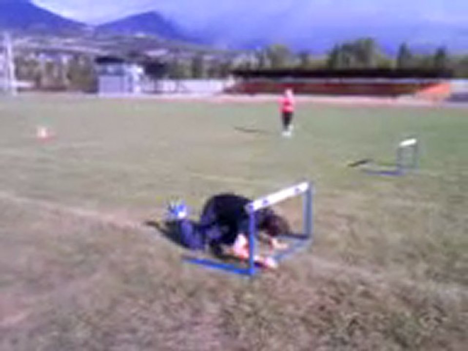 2009 Journee Integration Relais Tete-qui-tourne 04