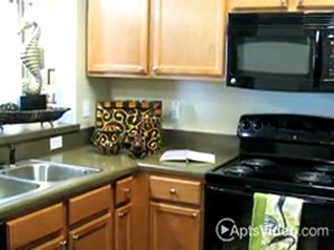 Tranquility Lake Apartments in Riverview, FL-ForRent.com