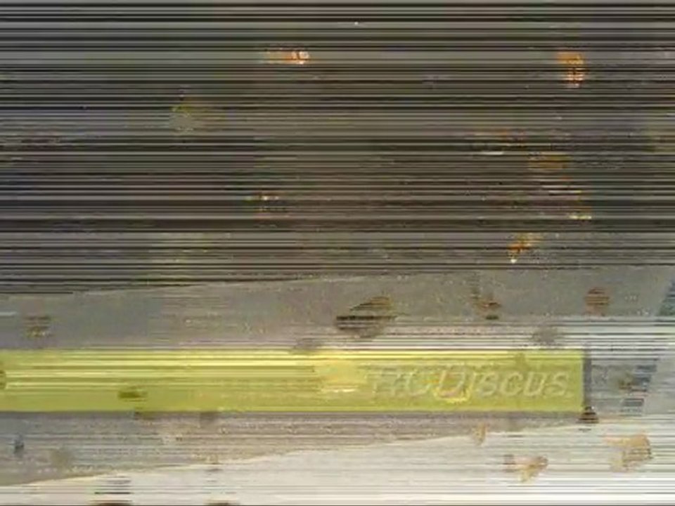 RB&T yeni yavrular (2)