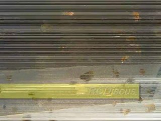 RB&T yeni yavrular (2)