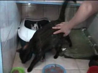 Origamie - 26 décembre 2009