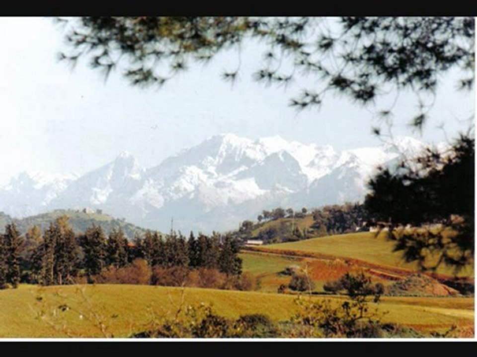 Markunda
