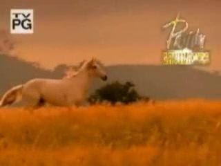 sarita y rosario se agarran de los pelos