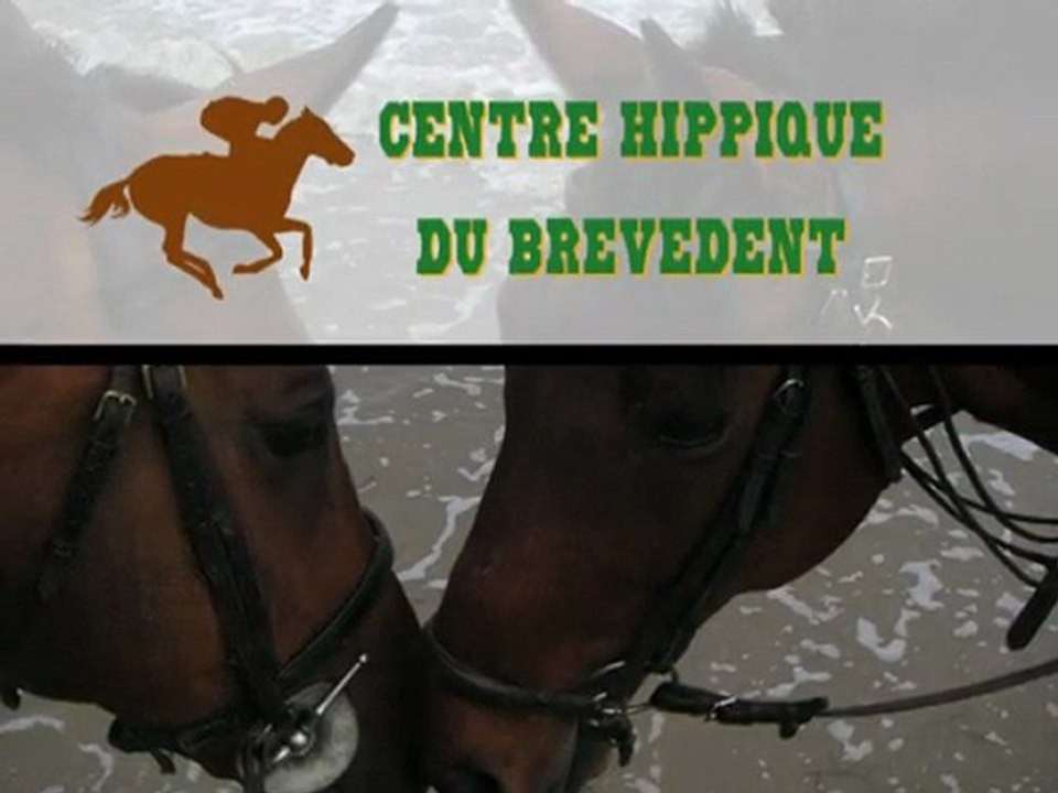 Centre équestre normandie, stage d'équitation normandie