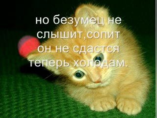 "Я тебя никому не отдам"