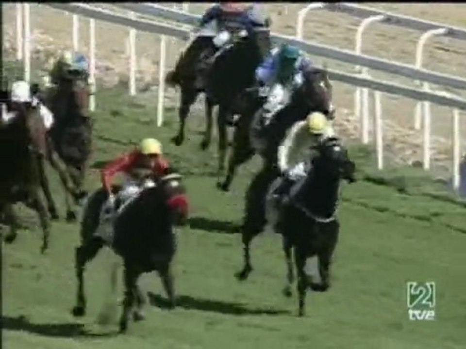 2007.02.18, nº 37 DH (GP Andalucia, B) Trueno Negro